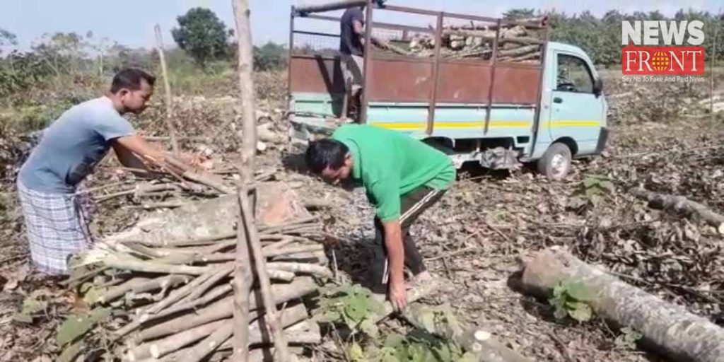 alipurduar farmers cut down rubber trees | newsfront.co