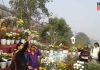 winter season flower show in kolaghat | newsfront.co