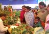 agriculture fair in kolaghat | newsfront.co