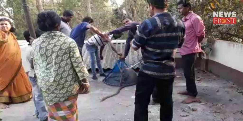 dog bite to monkey in chandrakona | newsfront.co