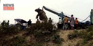 mother rhinoceros giving birth outside jaldapara | newsfront.co