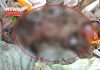 newborn body rescue from digha | newsfront.co