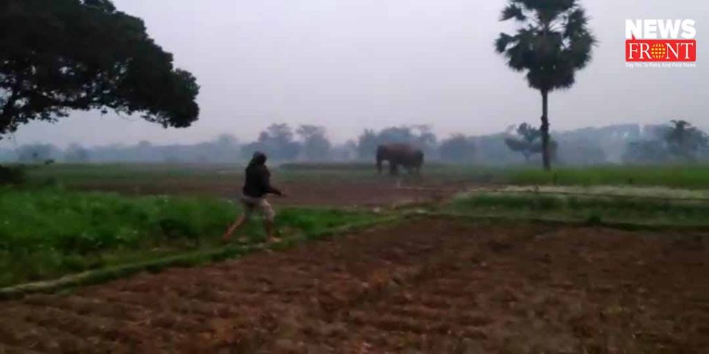 one village death by elephant attack | newsfront.co