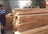 two smugglers arrested with illegal wood in ghoshpukur | newsfront.co