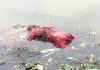 unidentified dead body rescue from kharagpur | newsfront.co