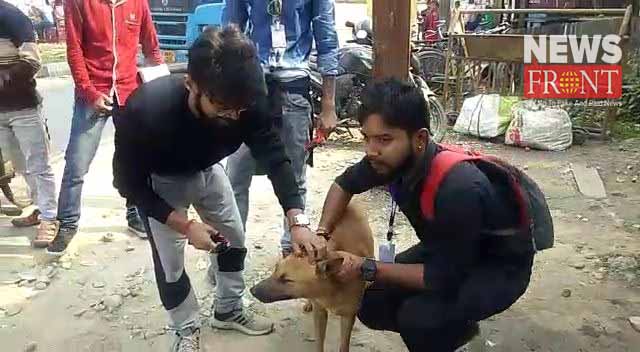 volunteer organization wearing radium belt to street dog | newsfront.co