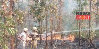 fire at jungle | newsfront.co