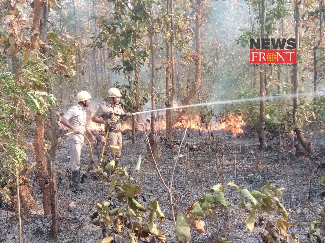 fire at jungle | newsfront.co