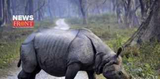 rhinoceros | newsfront.co