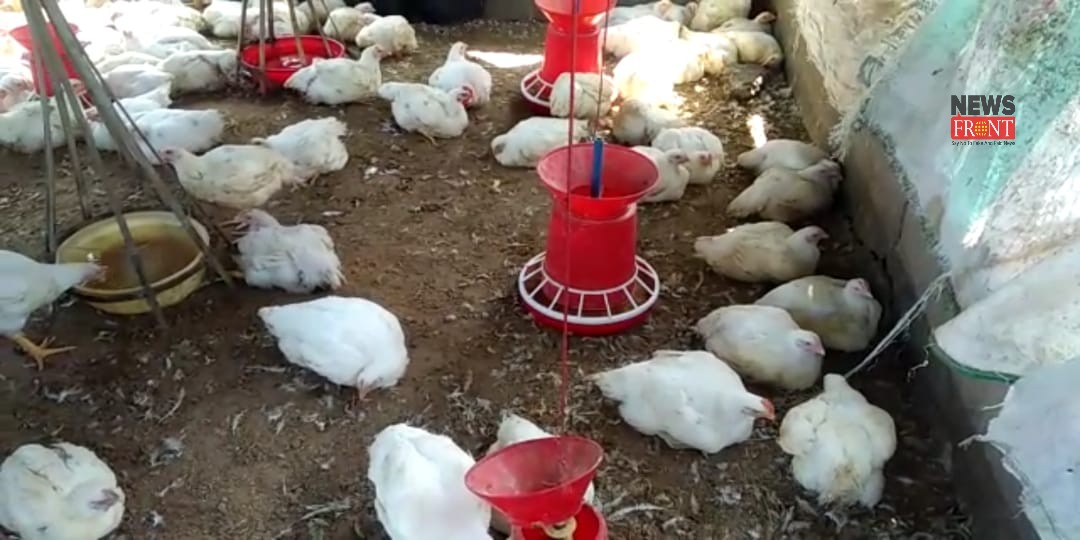 poultry farm | newsfront.co