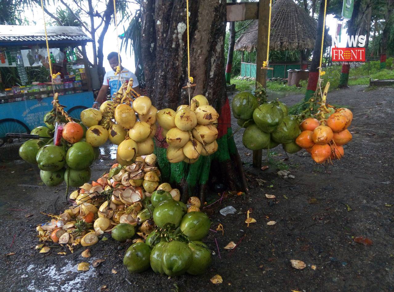 coconut | newsfront.co