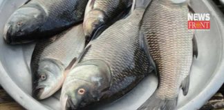 fish at fixed price | newsfront.co