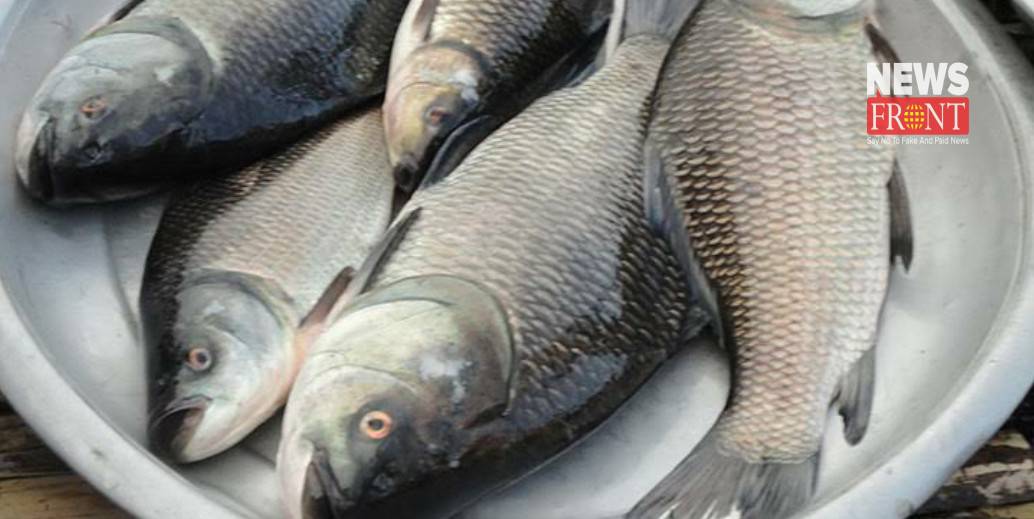 fish at fixed price | newsfront.co