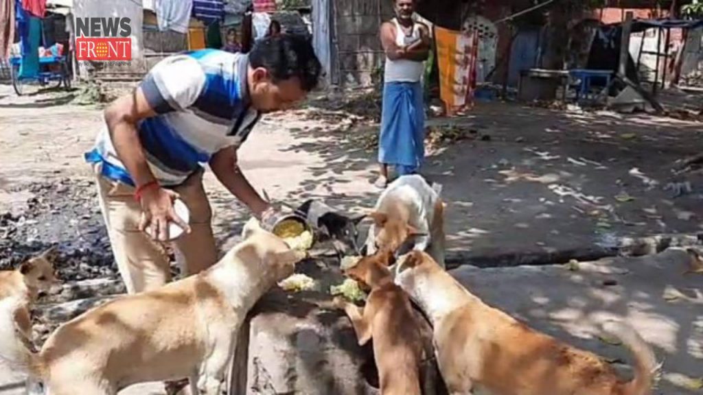 dog feeding