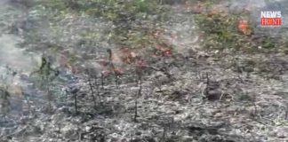 jaldapara national park on fire | newsfront.co