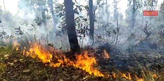 massive forest fire in sakher | newsfront.co