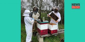 Bee farm | newsfront.co