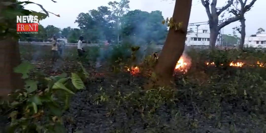 forest fire | newsfront.co