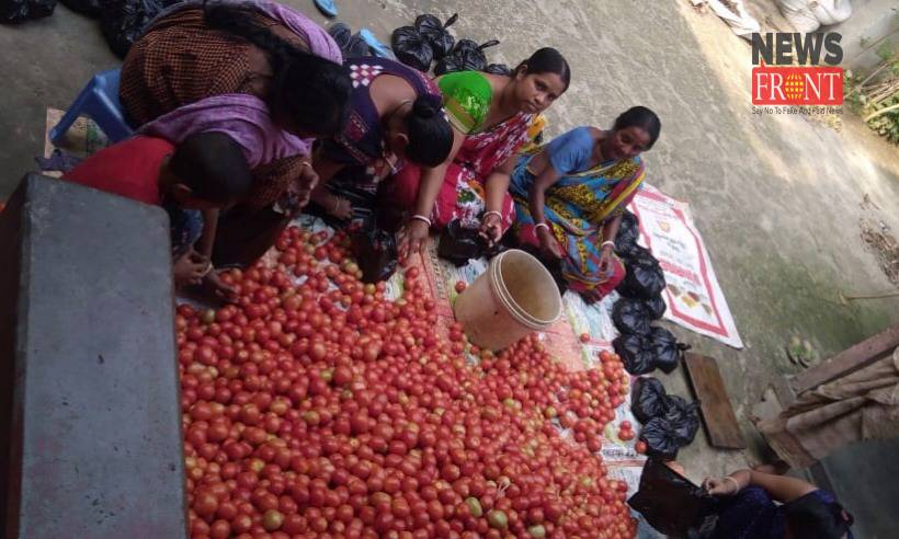 Tomato farmers | newsfront.co