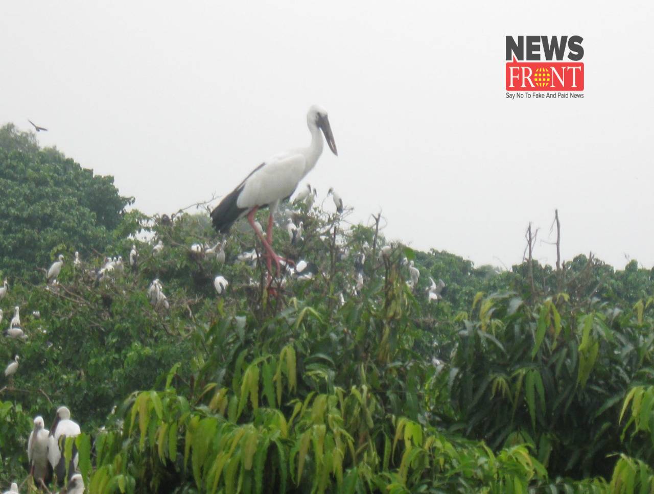 Bird | newsfront.co