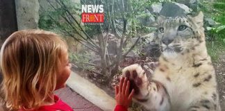 Zoo | newsfront.co