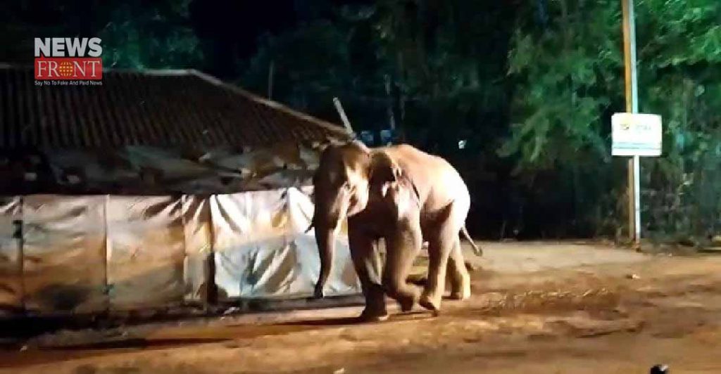 elephant attack | newsfront.co