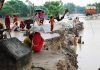 ganga erosional fuchsin | newsfront.co