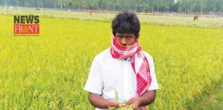 paddy crop | newsfront.co