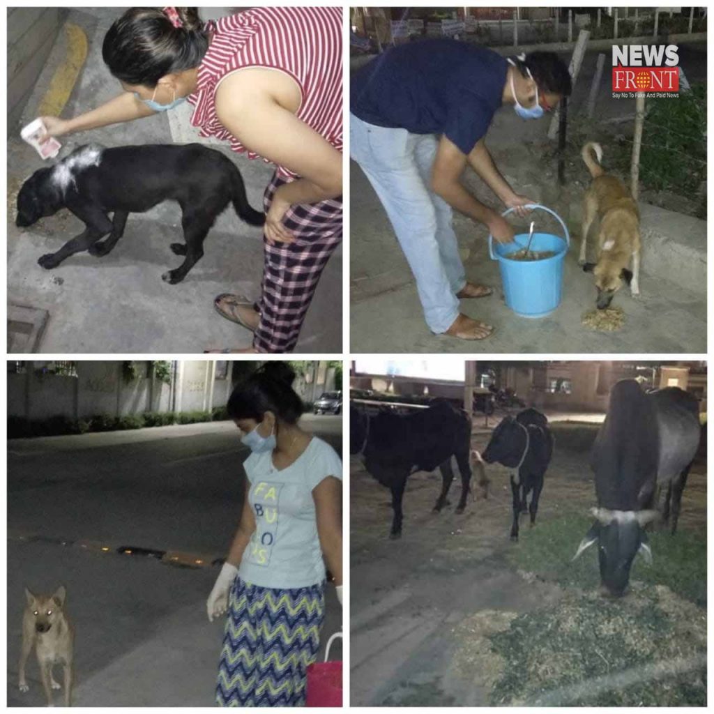 rupsha bandyopadhyay distribute food to animals | newsfront.co