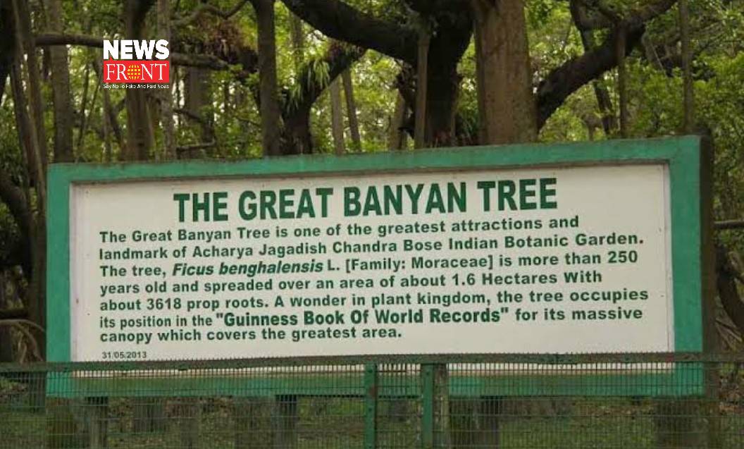 The Great Banyan Tree | newsfront.co