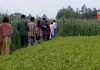 government officer visit to damage agriculture field | newsfront.co