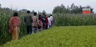 government officer visit to damage agriculture field | newsfront.co