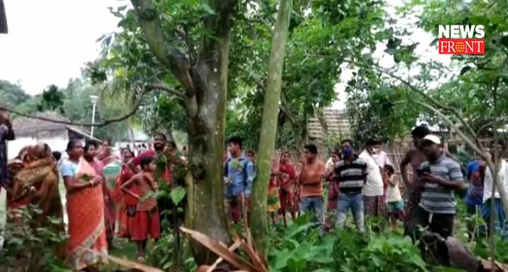 water drop from mysterious tree in malda | newsfront.co