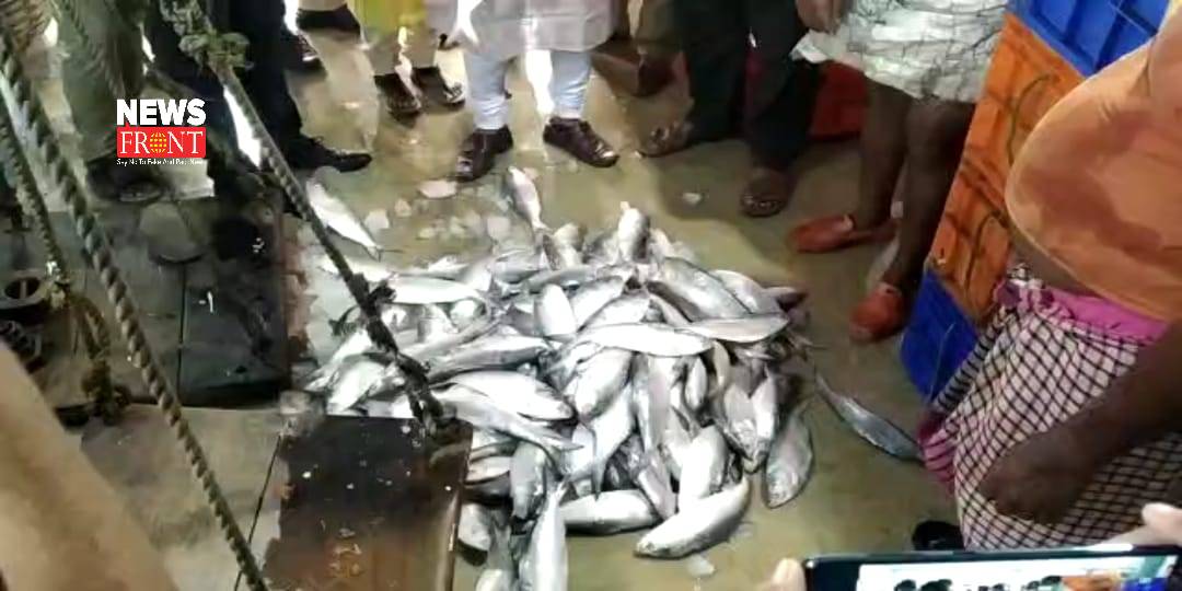 Hilsa fish | newsfront.co