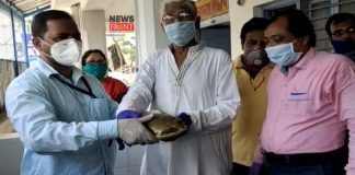 Tortoise rescued | newsfront.co