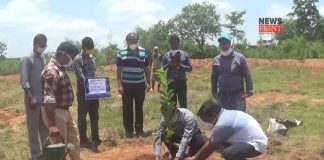 Tree planting | newsfront.co