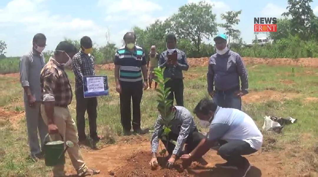 Tree planting | newsfront.co