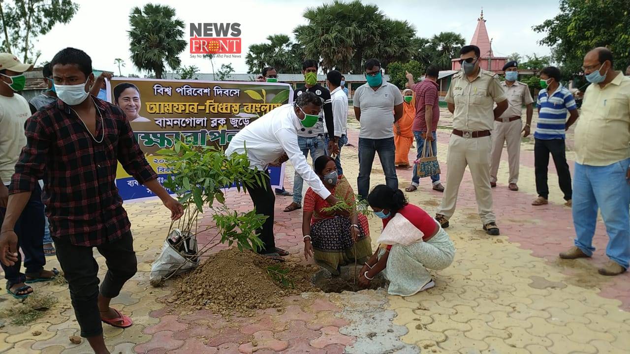 tree plantation | newsfront.co