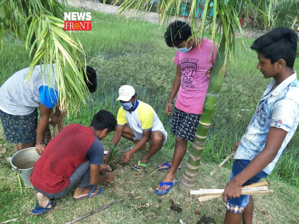 tree planting | newsfront.co