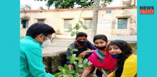 tree planting | newsfront.co