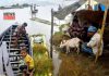 Flood in assam | newsfront.co