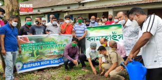 Tree plantation | newsfront.co