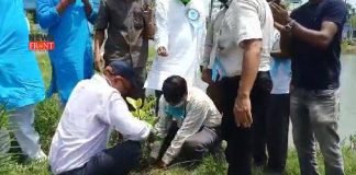 Tree plantation | newsfront.co