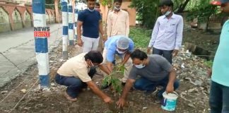 Tree planting | newsfront.co