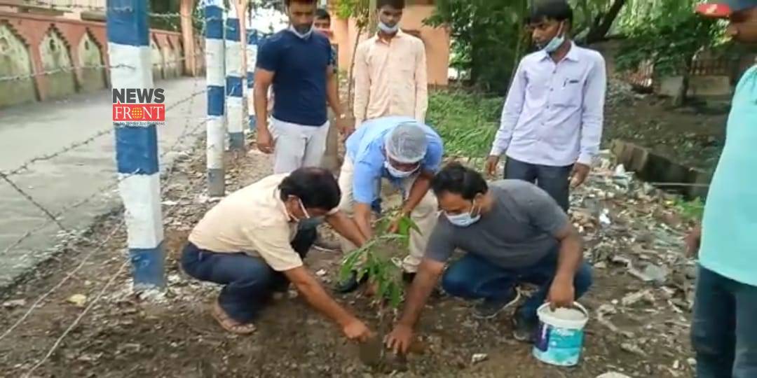 Tree planting | newsfront.co