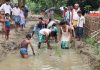 paddy planting | newsfront.co