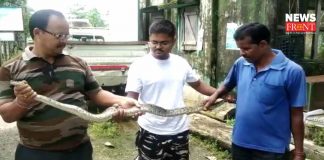 python rescue | newsfront.co