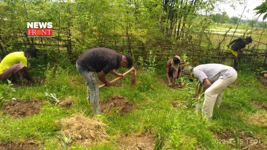 tree planting | newsfront.co