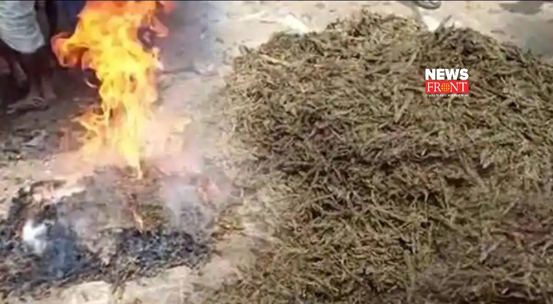 Ganja burn | newsfront.co