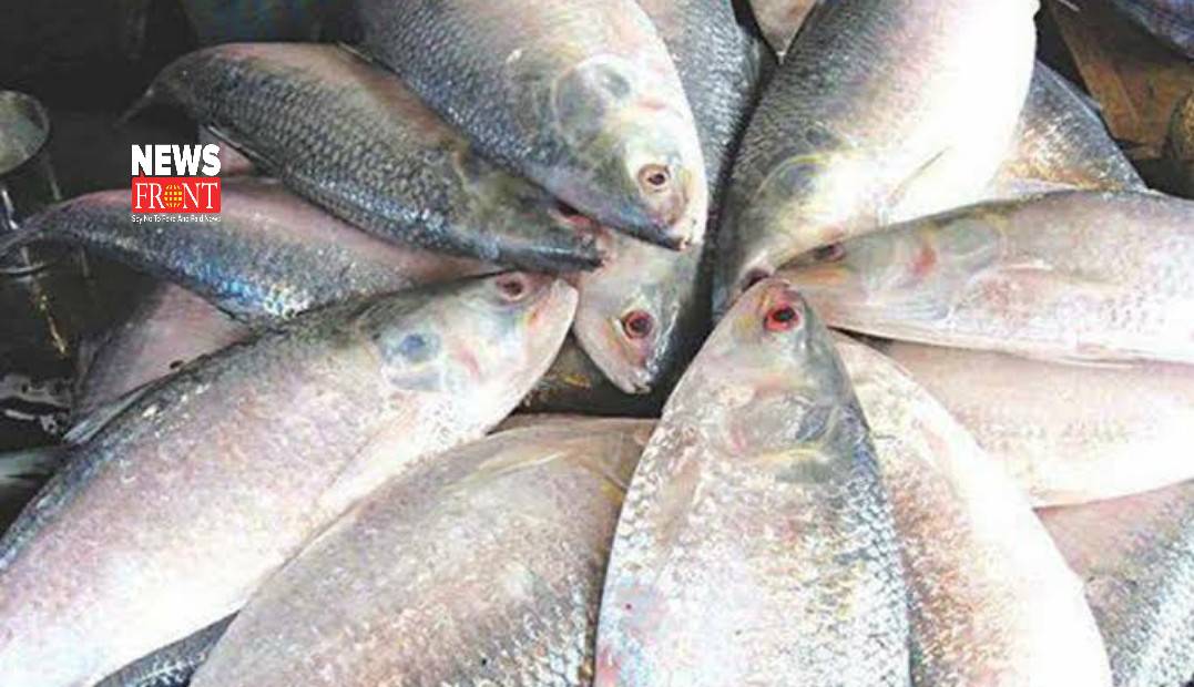 Hilsa fish | newsfront.co